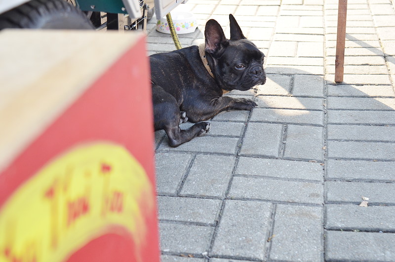 龜龜毛毛泰國奶茶